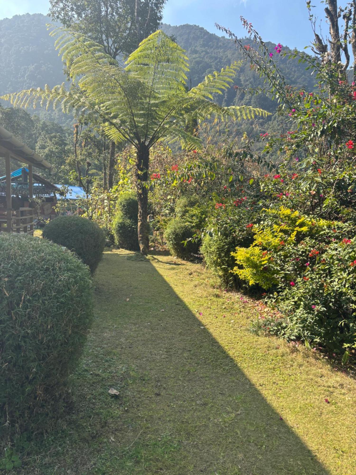 דירות פלינג Odyssey'S Darap Eco Retreat מראה חיצוני תמונה